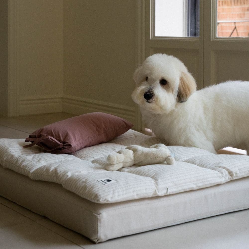 아우스리푸 스퀘어베딩세트