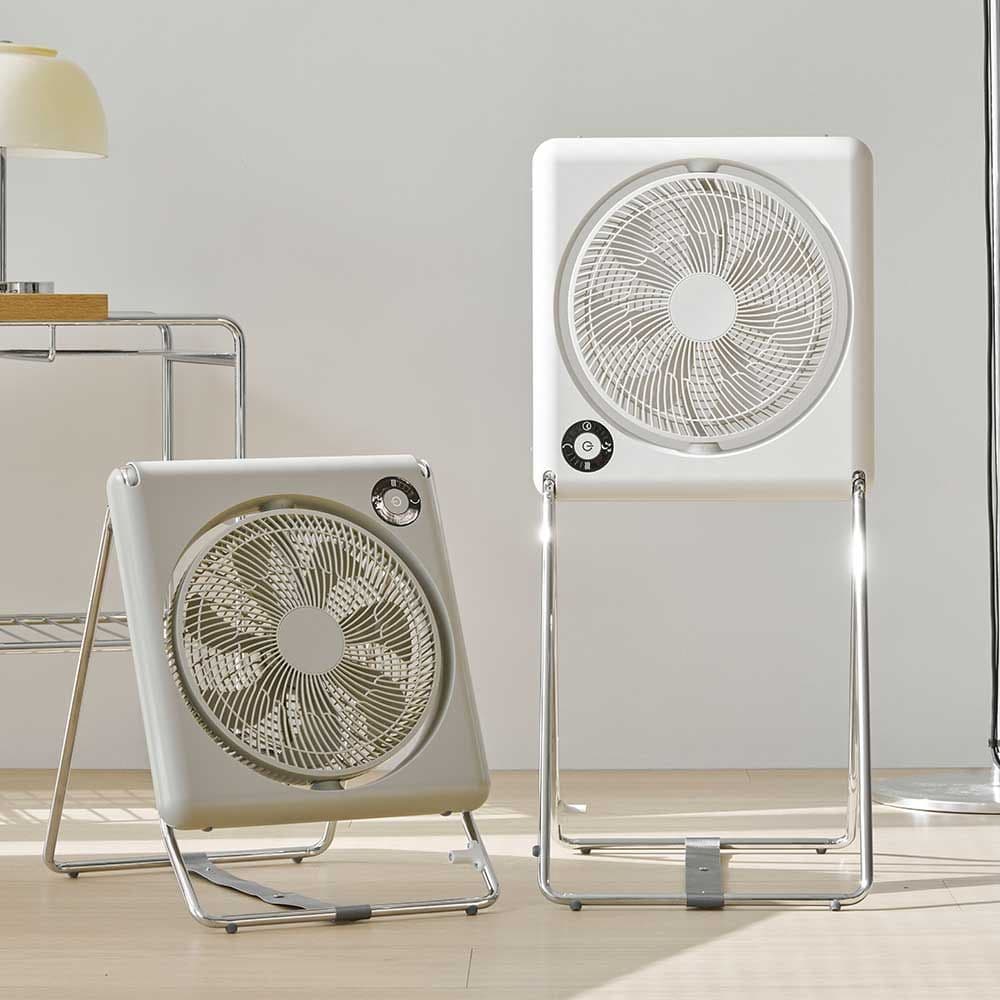 CICO null - 최저가 179,000원