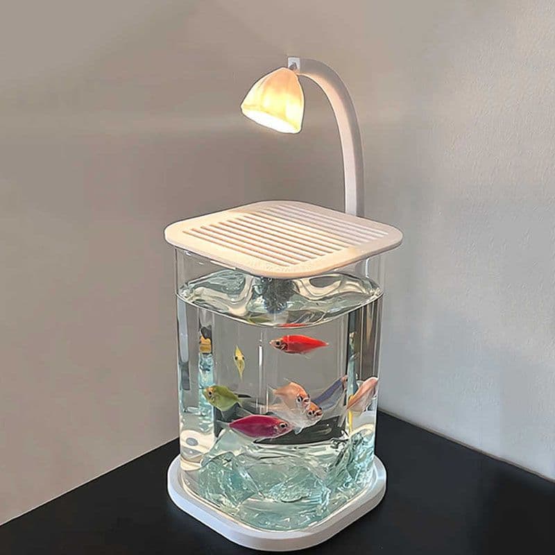 Borella null - 최저가 25,900원