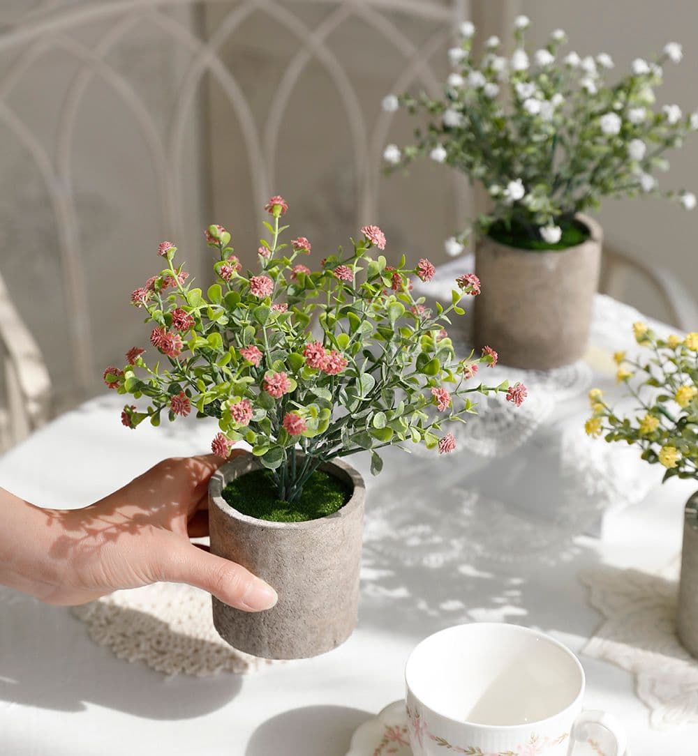 미스모네 null - 최저가 7,110원