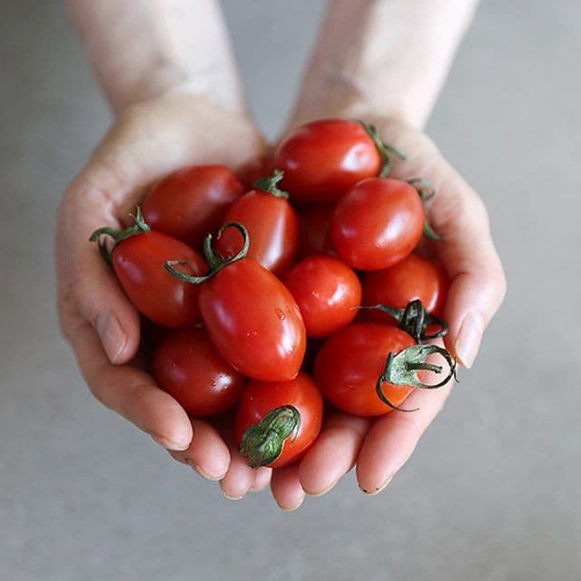 맛꾼 대추/스테비아 방울토마토