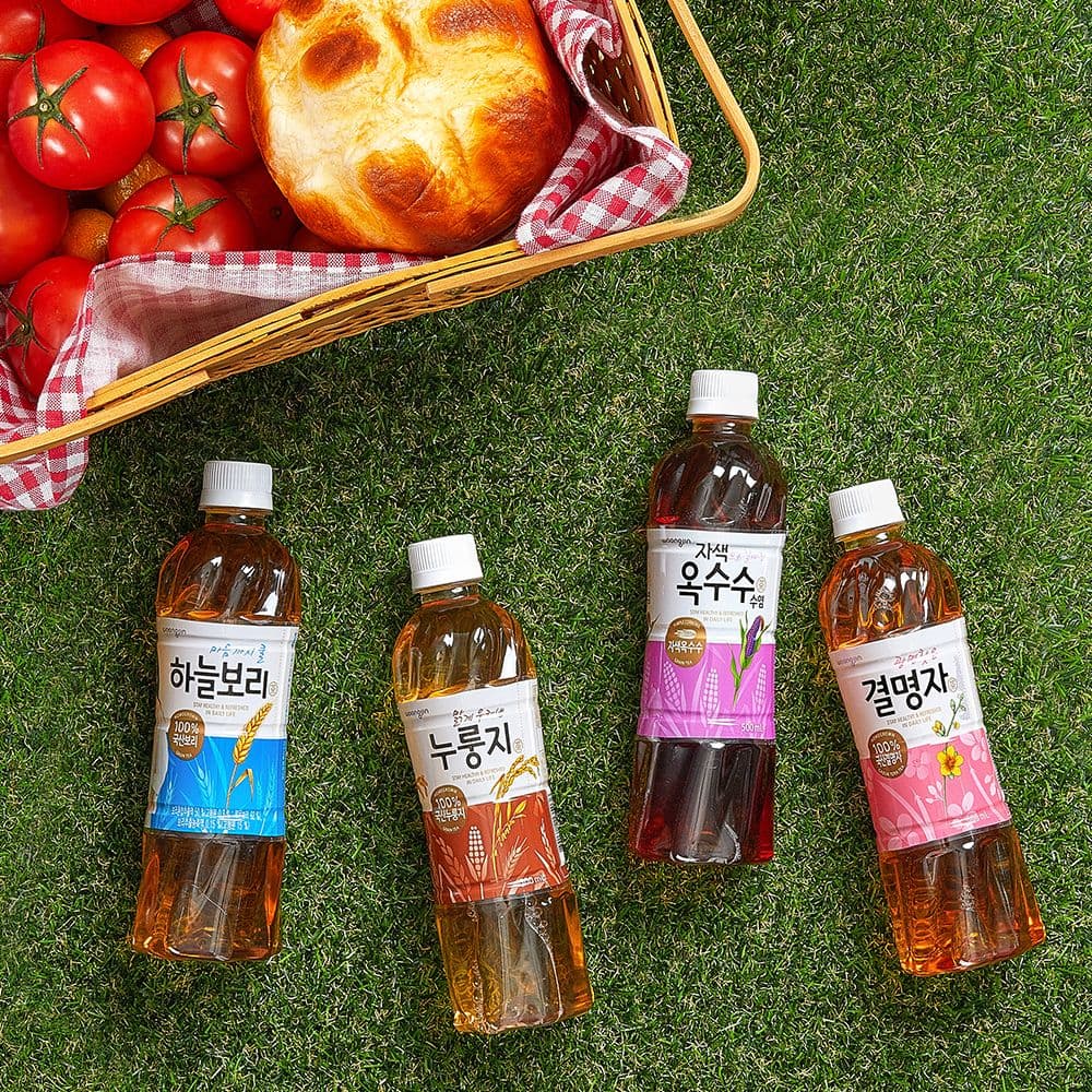 웅진식품 하늘보리 500mL*10개+결명자차 500mL 10개(6종 중 택2)