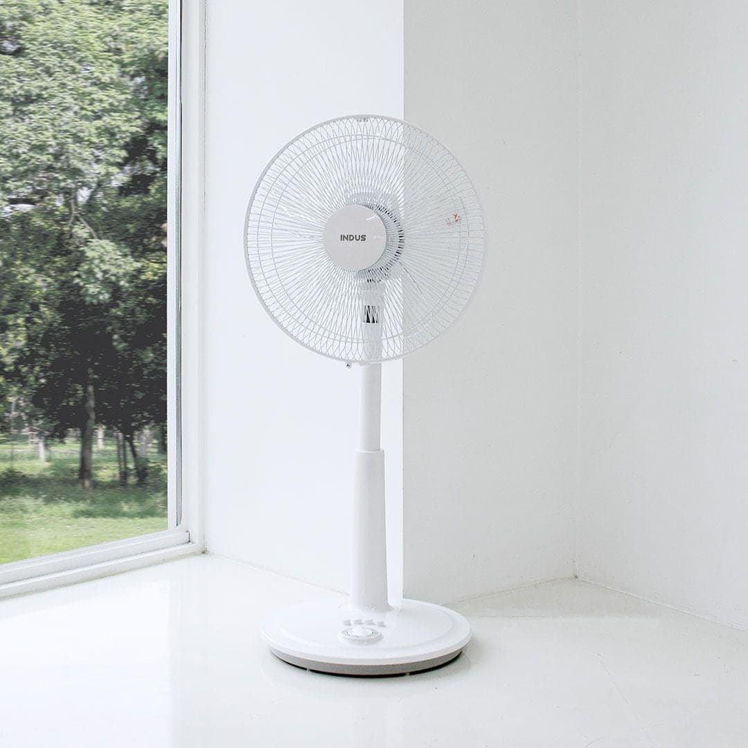 인더스 null - 최저가 25,900원