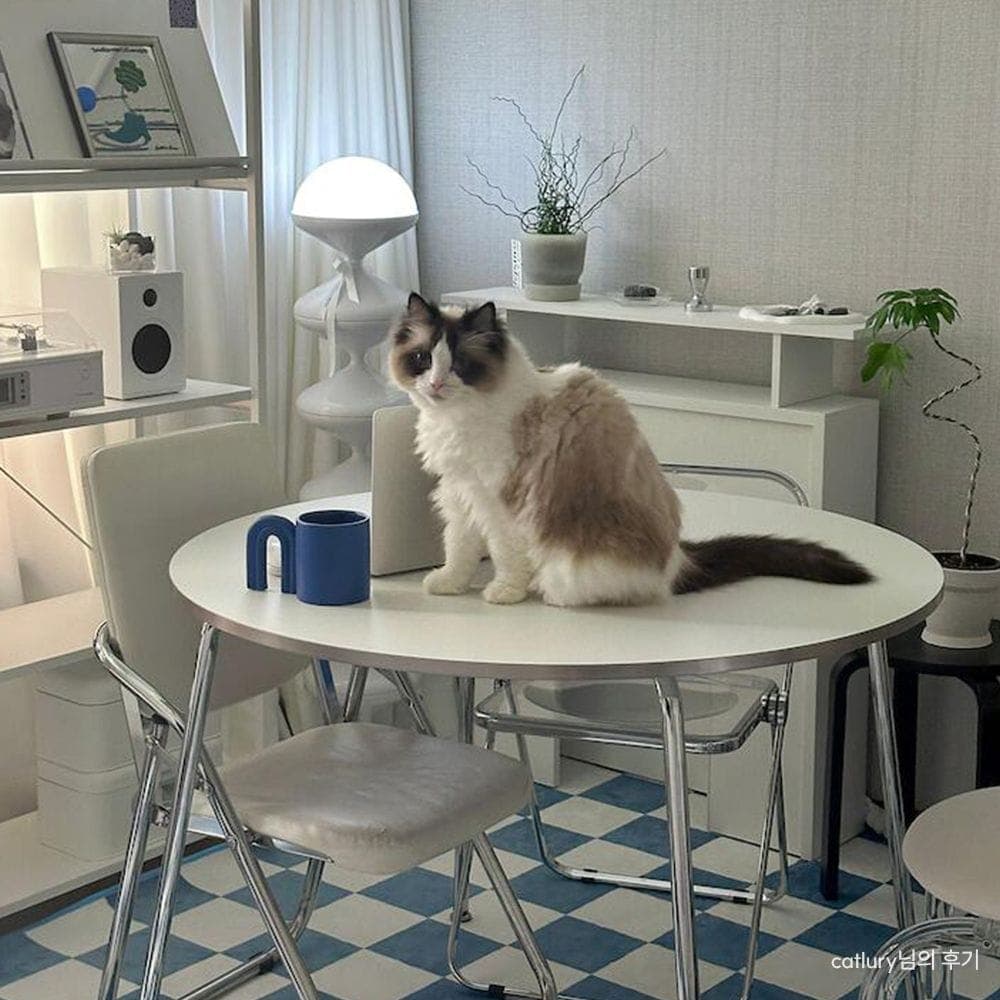 퍼니코 null - 최저가 68,900원