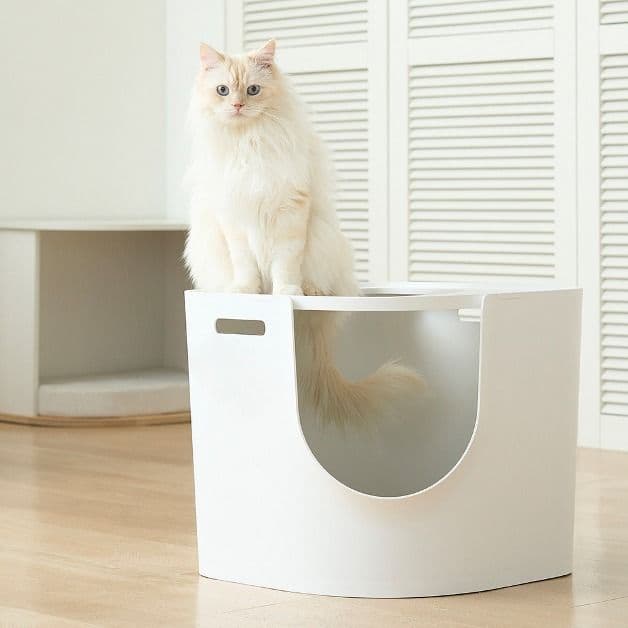 두잇 [두잇] 고양이 화장실 푸푸투웨이