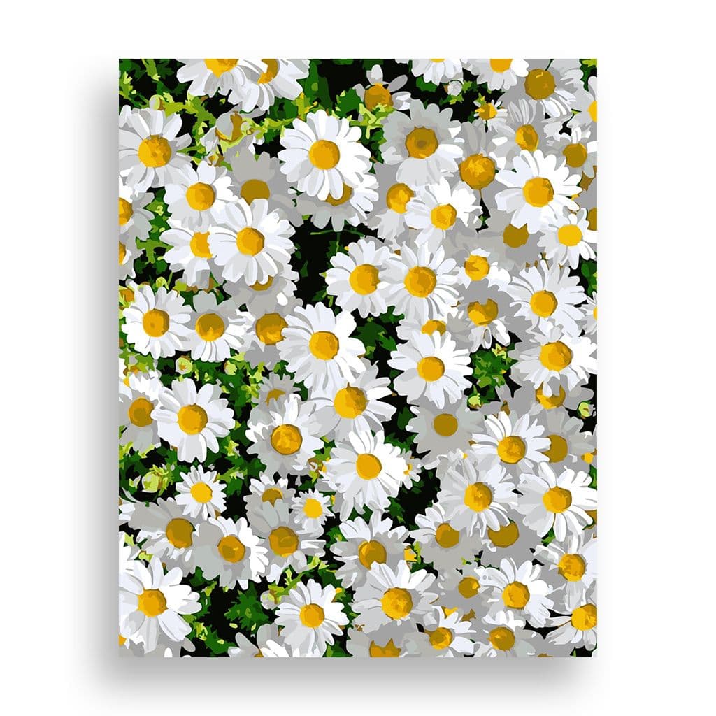 위메이크페인팅 위메이크 페인팅 DIY 명화그리기 데이지 40x50