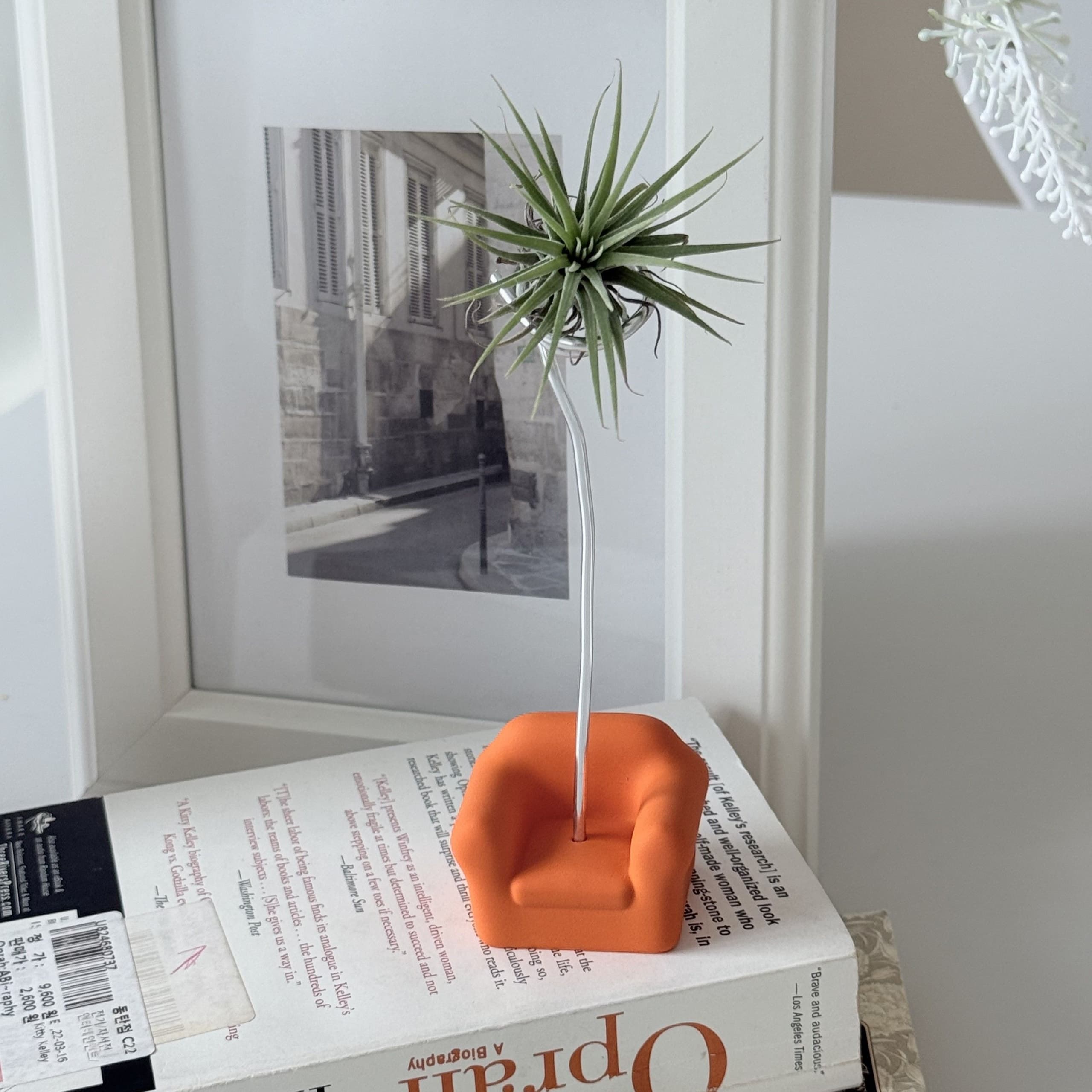 오브초 null - 최저가 13,000원