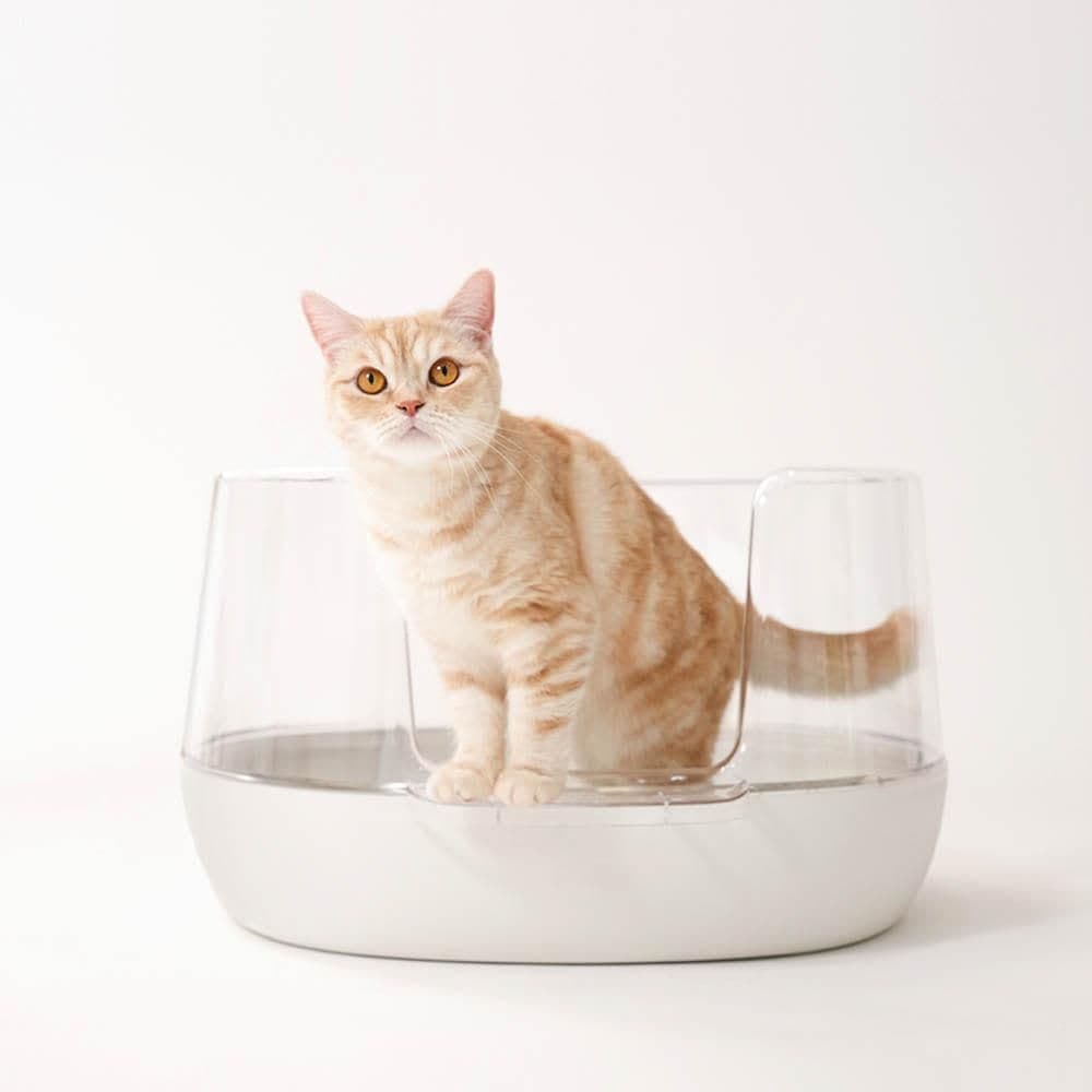 핏펫 냥쌤 투명화장실 고양이 평판형 화장실