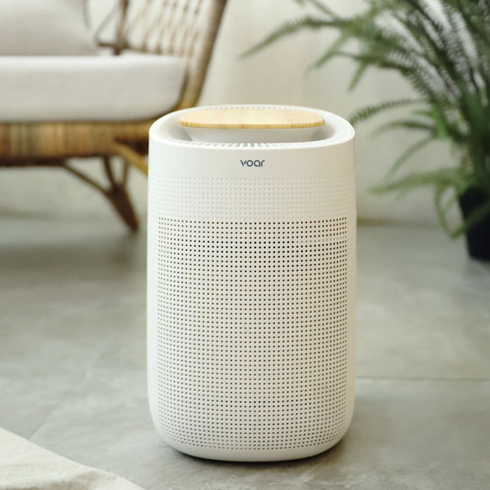 보아르 null - 최저가 84,550원