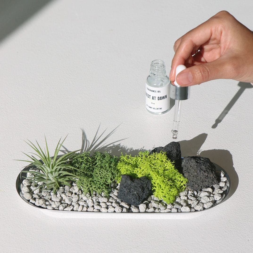 마이퍼니발렌타인 null - 최저가 27,930원