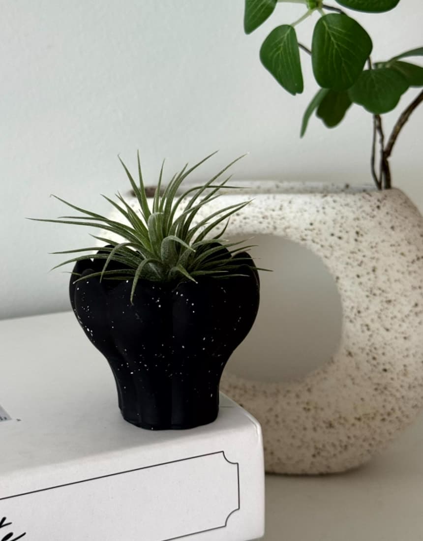 오브초 null - 최저가 15,000원