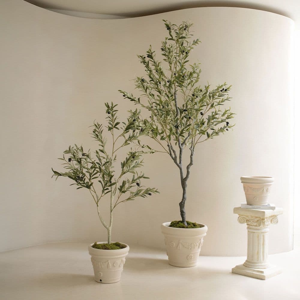 쟈뎅드에덴 null - 최저가 49,200원