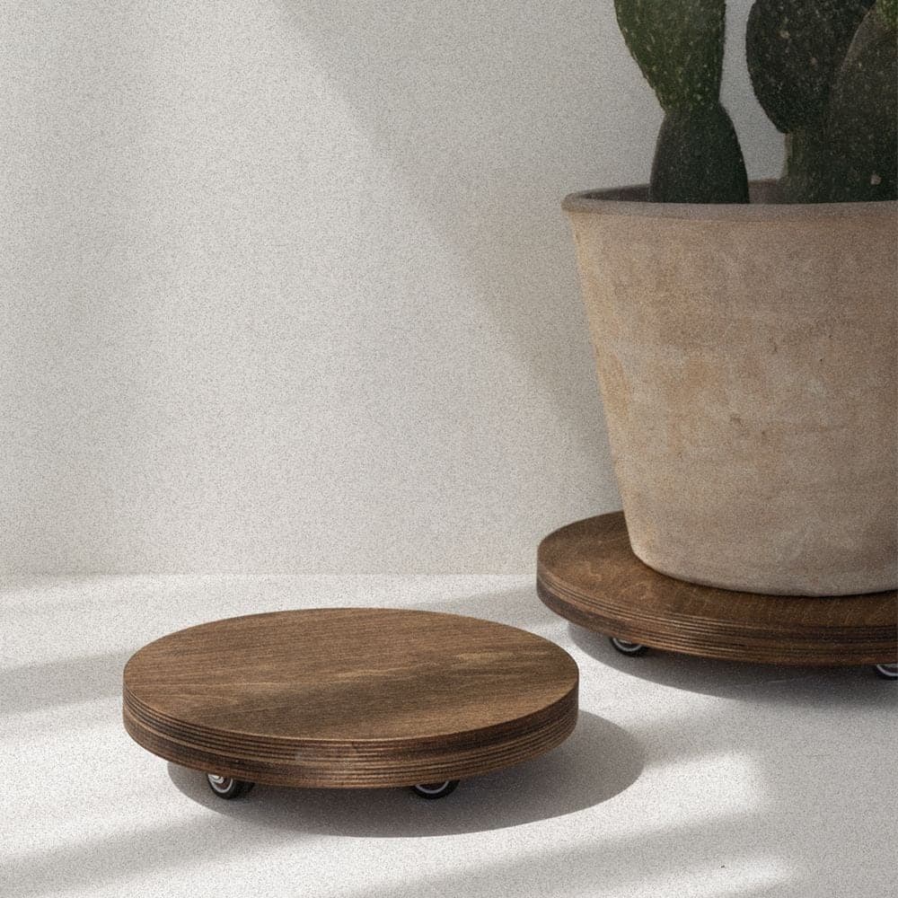 헬로프로그 null - 최저가 29,250원