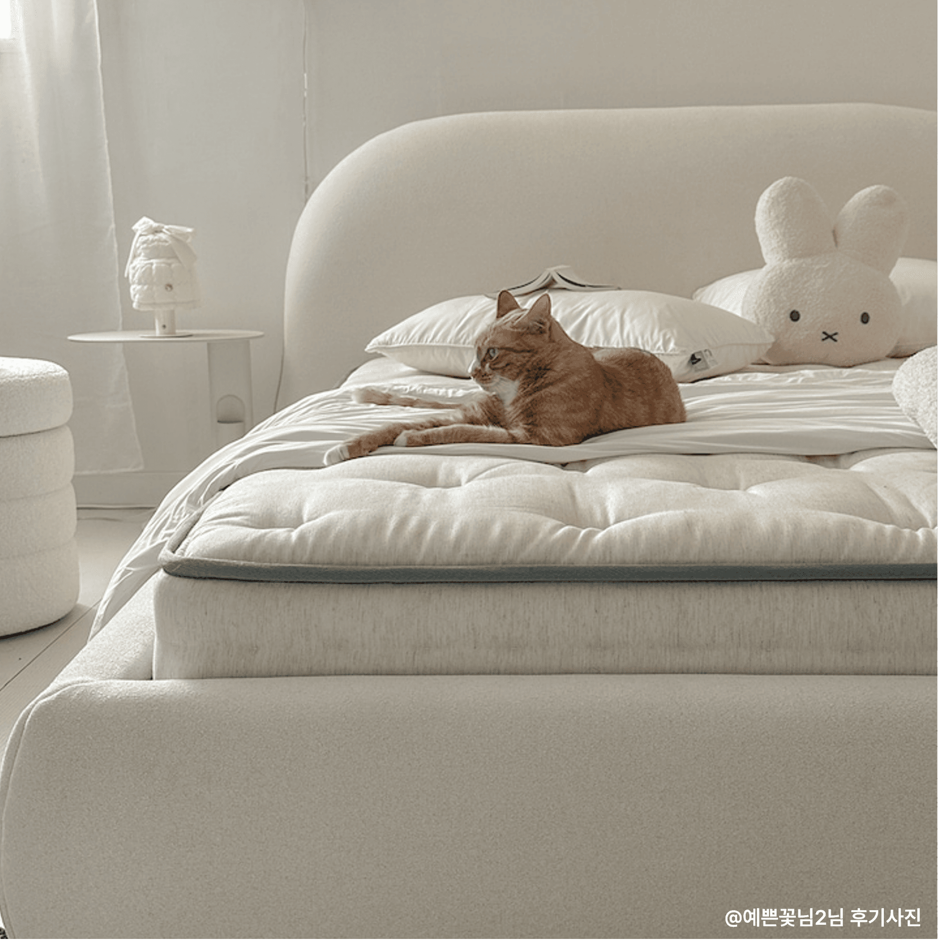 까사미아 마테라소 포레스트 릴리 매트리스 (GSS/Q)