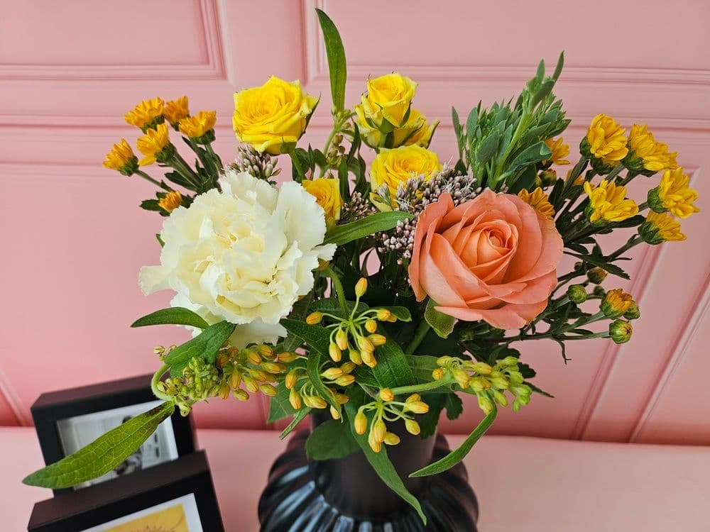 유스풀몰 null - 최저가 11,900원