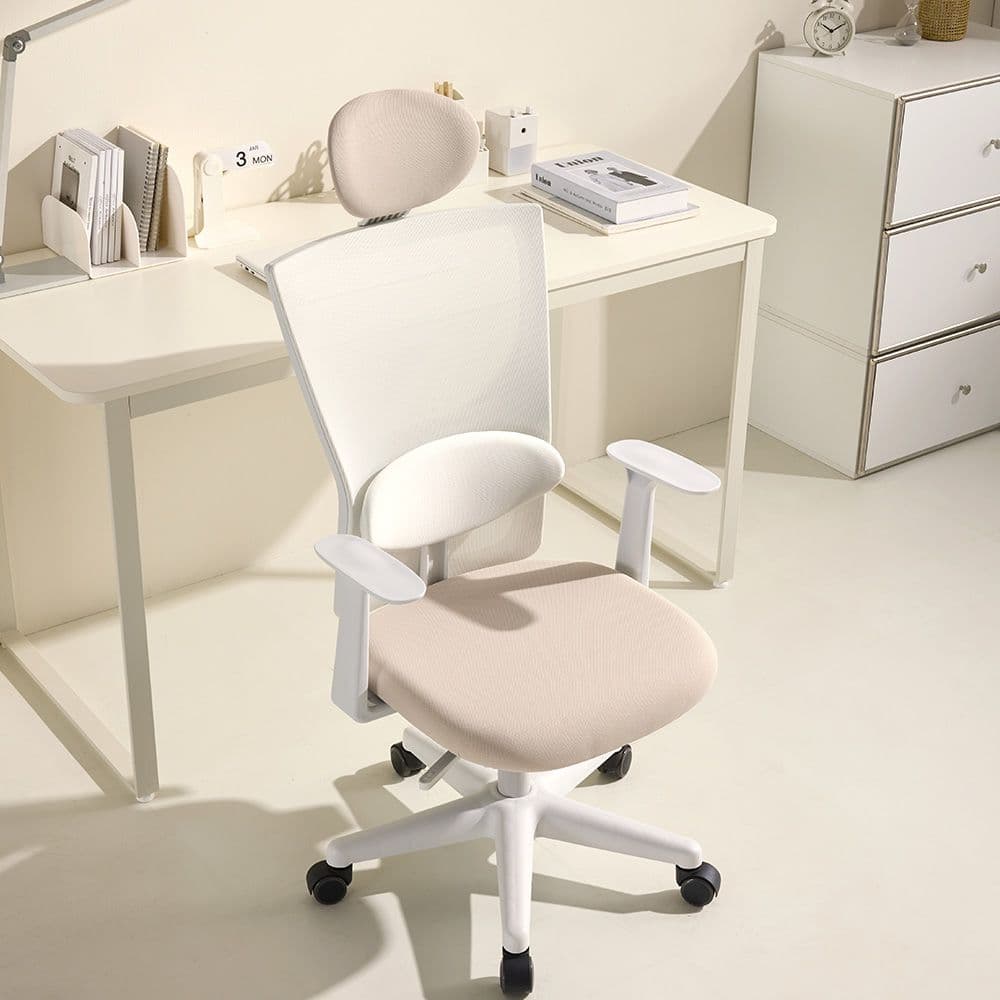 체어스코 에르고 바른 자세교정 컴퓨터의자 사무용 사무실 학생 공부 책상의자