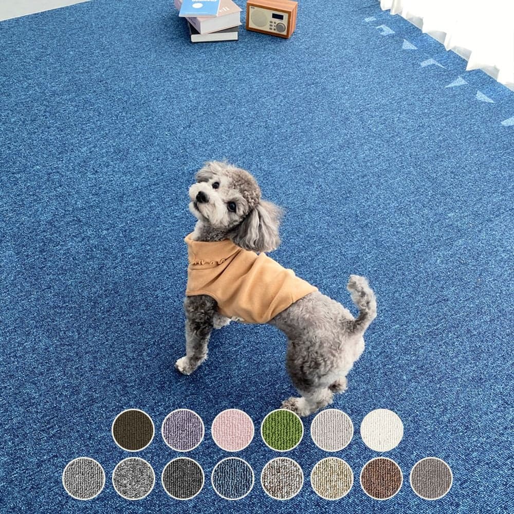 천일카페트  냥멍매트 반려동물 미끄럼방지 타일카페트 50x50