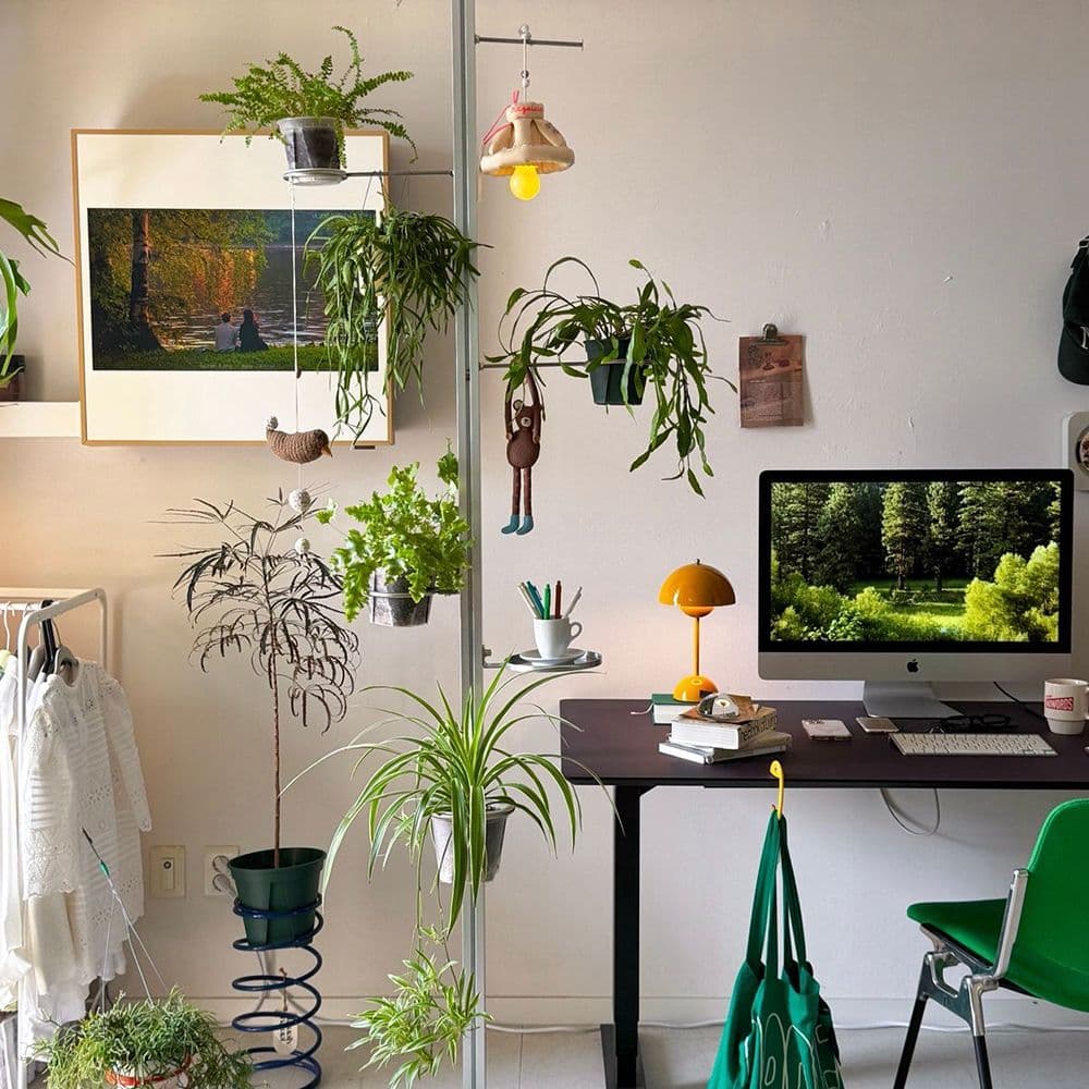 린꽁 null - 최저가 238,000원