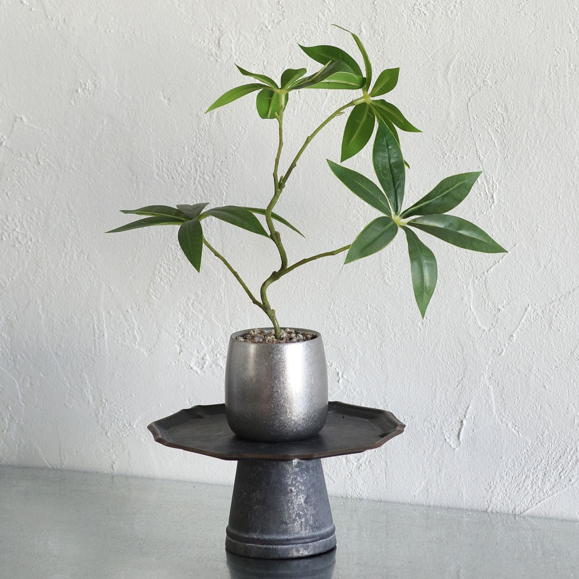 파워플랜트 책상위의 작은 녹음 조화 (파키라, 홍콩야자 등)(선물포장 가능) - 최저가 12,500원 (43% 할인)