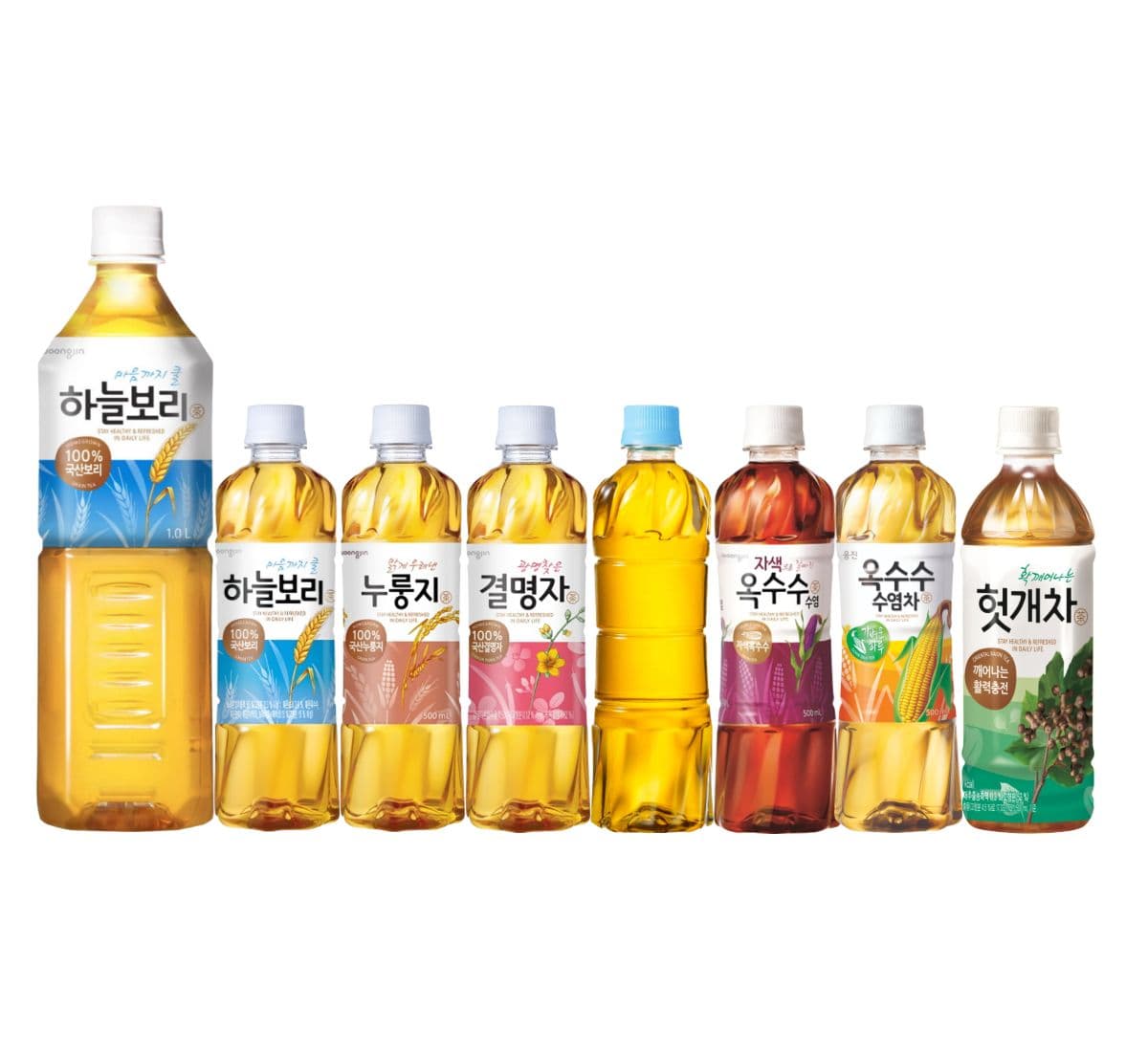 웅진식품 하늘보리 500ml 20개 외 5종