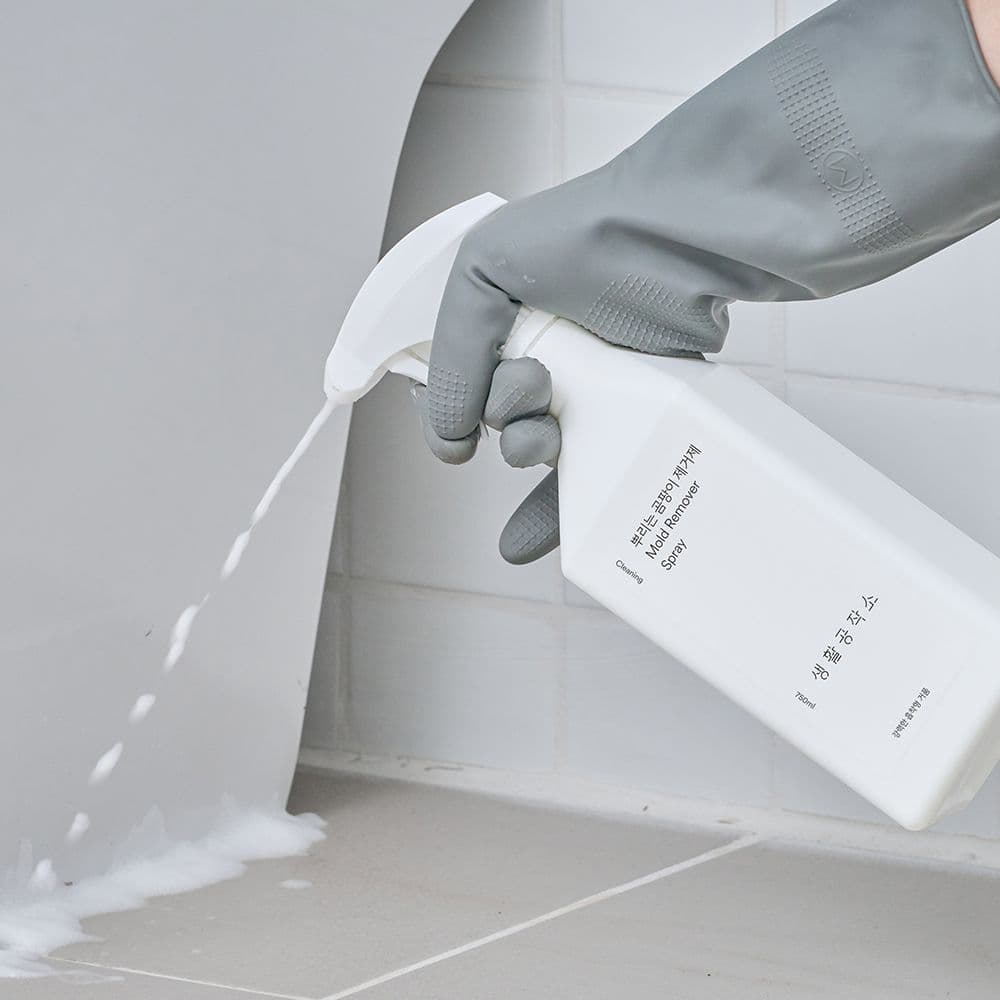 생활공작소 생활공작소 뿌리는 곰팡이제거제