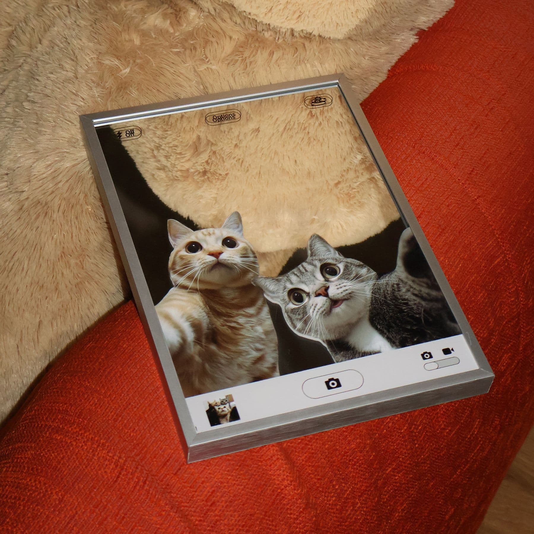 46month [오늘의집 단독] selfie cat poster mirrorㅣ포스터 거울 - 최저가 46,400원