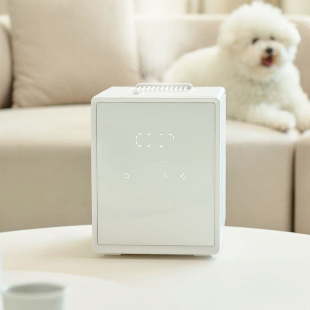 다룸 null - 최저가 99,000원