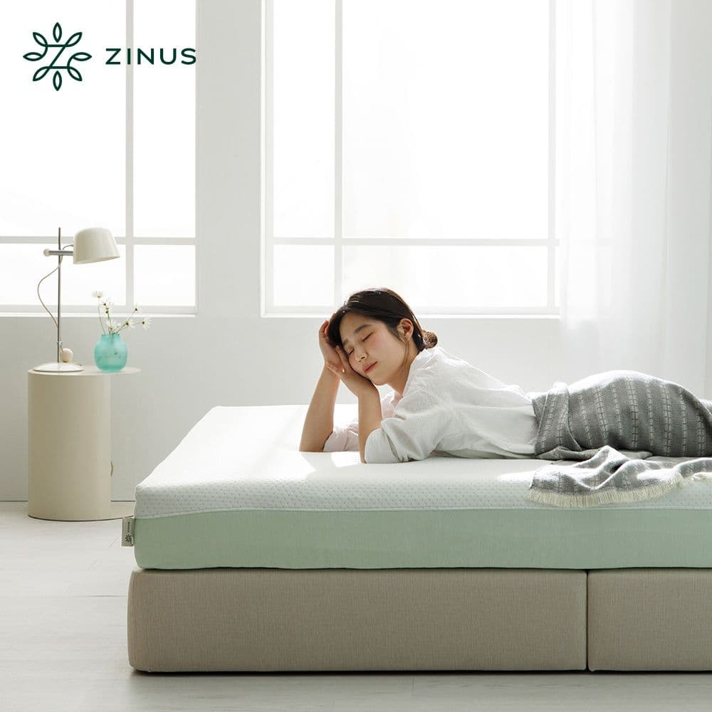 지누스 null - 최저가 205,946원