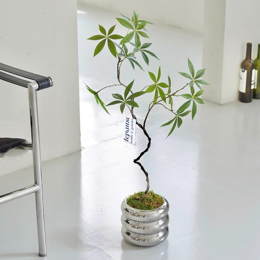 데팡스 null - 최저가 35,100원