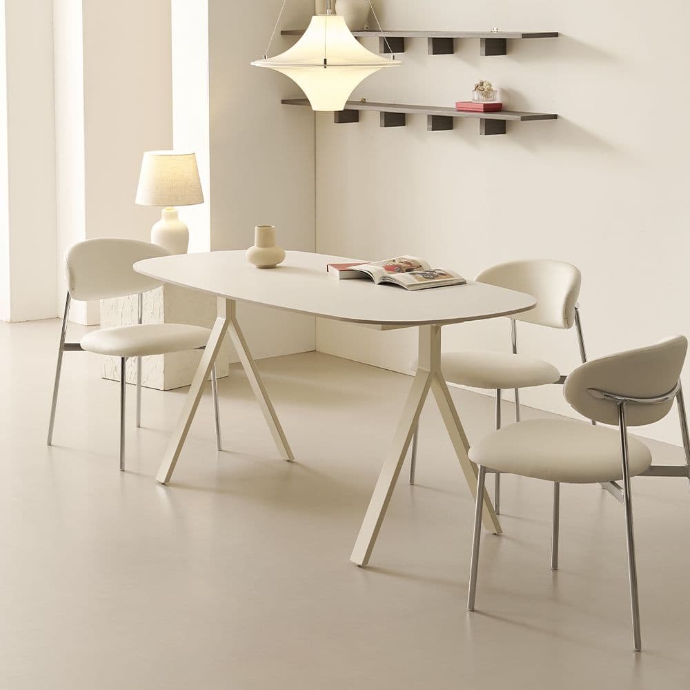 폴인퍼니 null - 최저가 209,000원