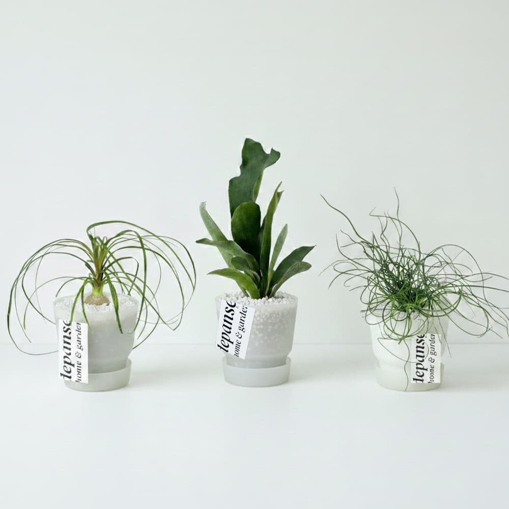 데팡스 null - 최저가 32,200원