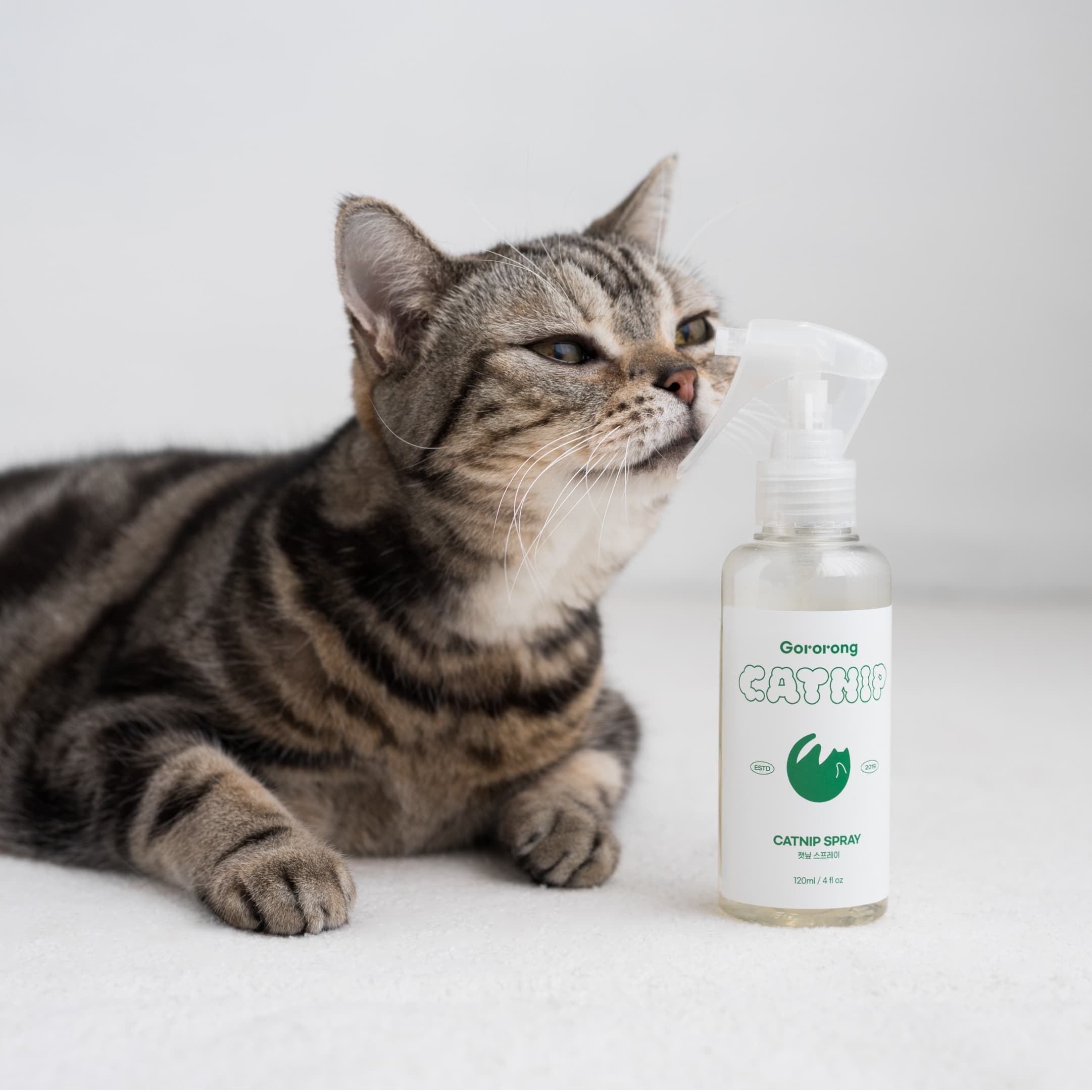 고로롱 고양이 스크래쳐 고양이용품 뿌리는 캣닢 스프레이(120ml 1~2개월분)
