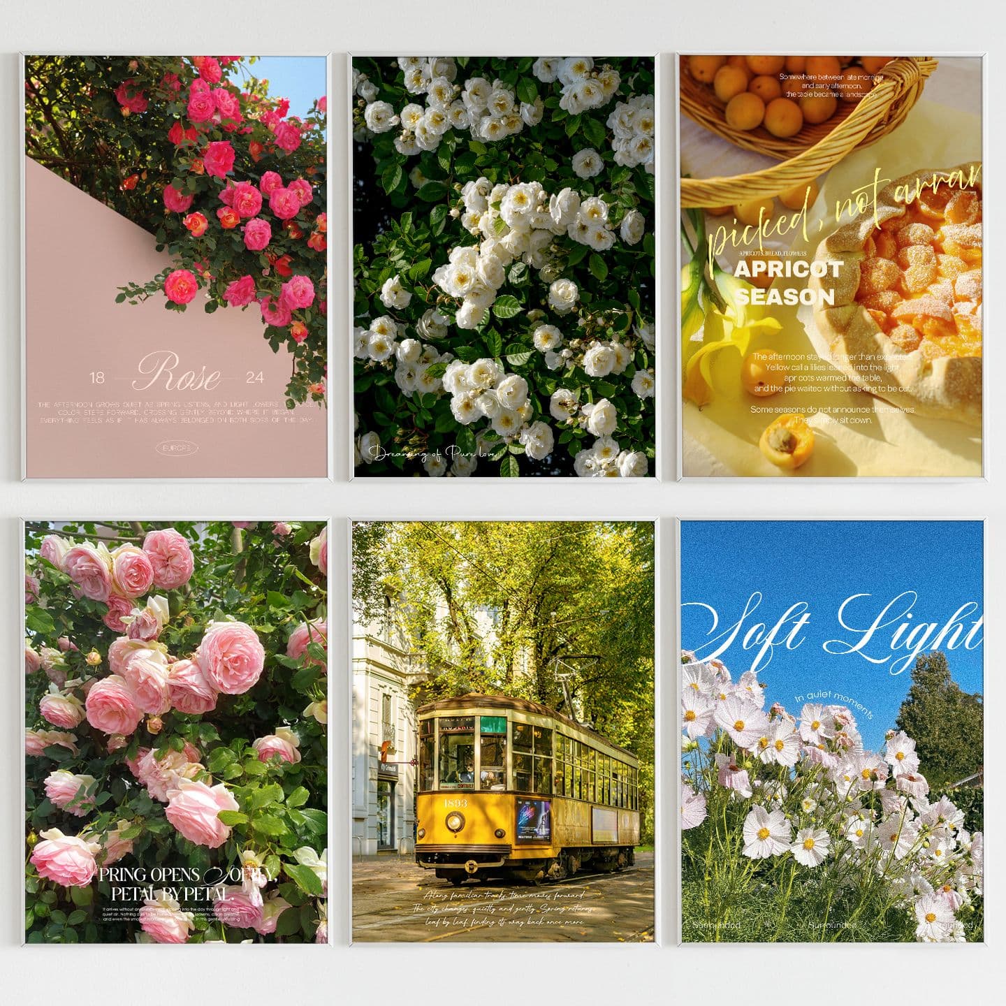 에덴미술 봄 유럽 꽃 풍경 식물 빈티지 감성 사진 포스터 캔버스 벽장식 인테리어 액자