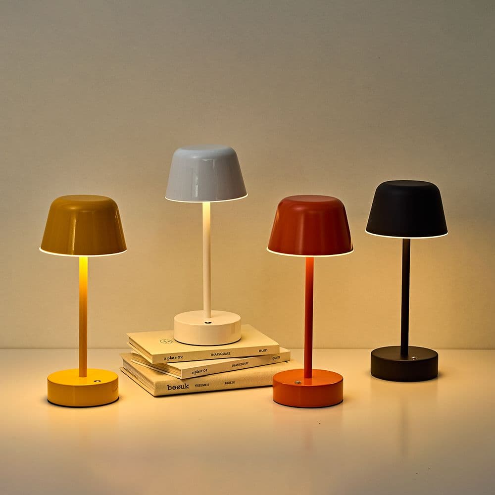 지노바 null - 최저가 23,900원