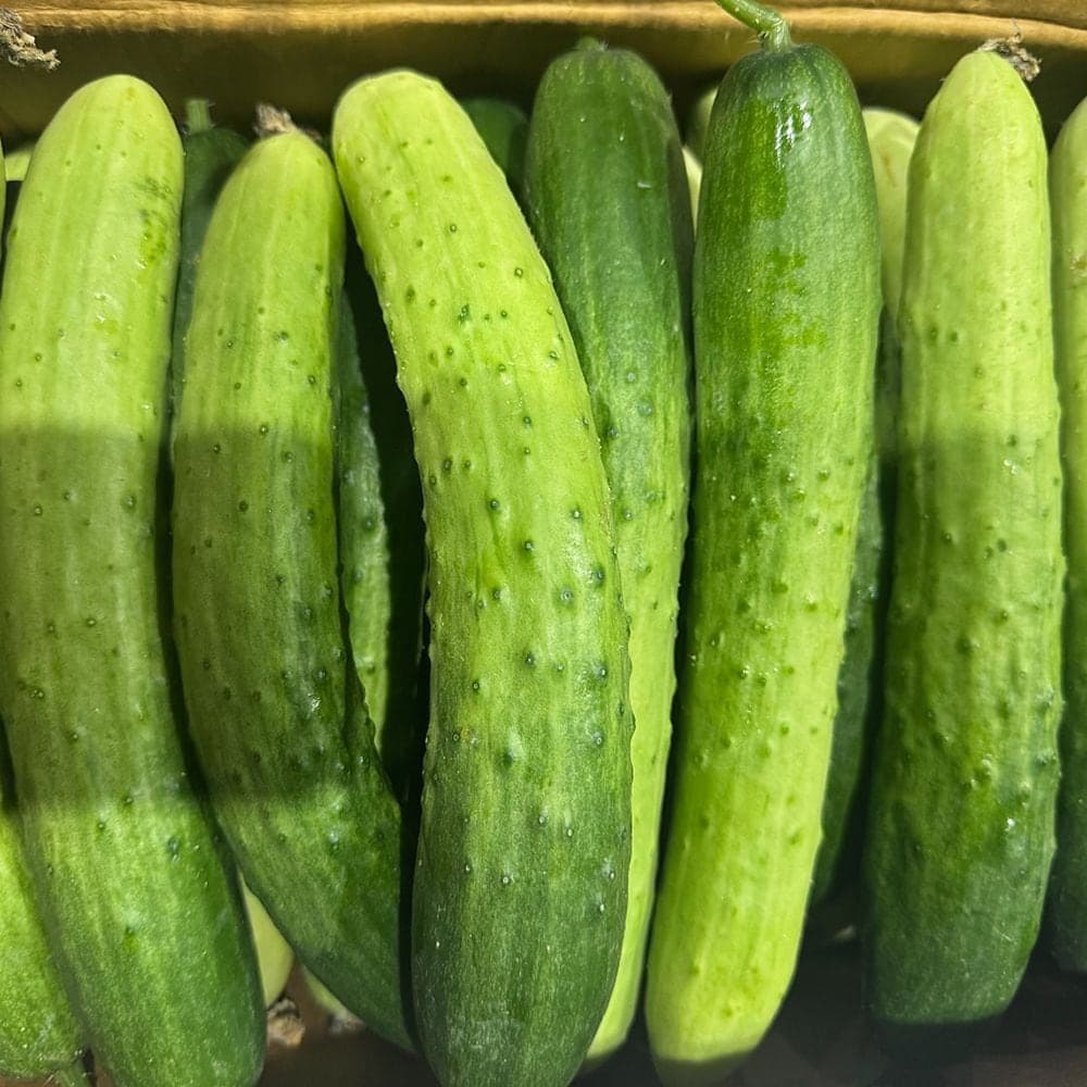 산지직송연구소 null - 최저가 8,550원