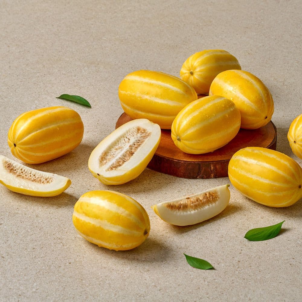 효성팜 성주참외