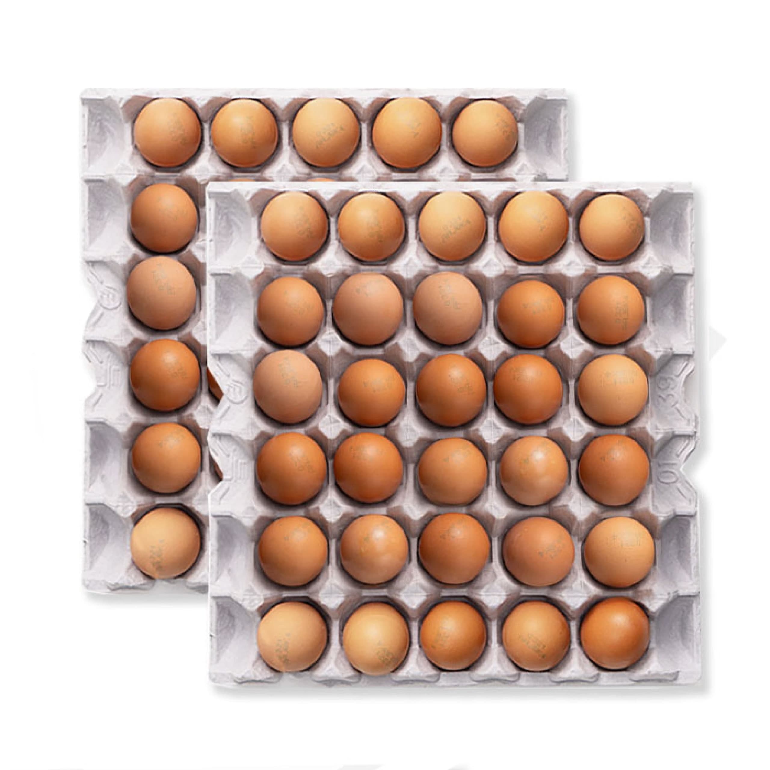 에그앤 맥반석 구운계란