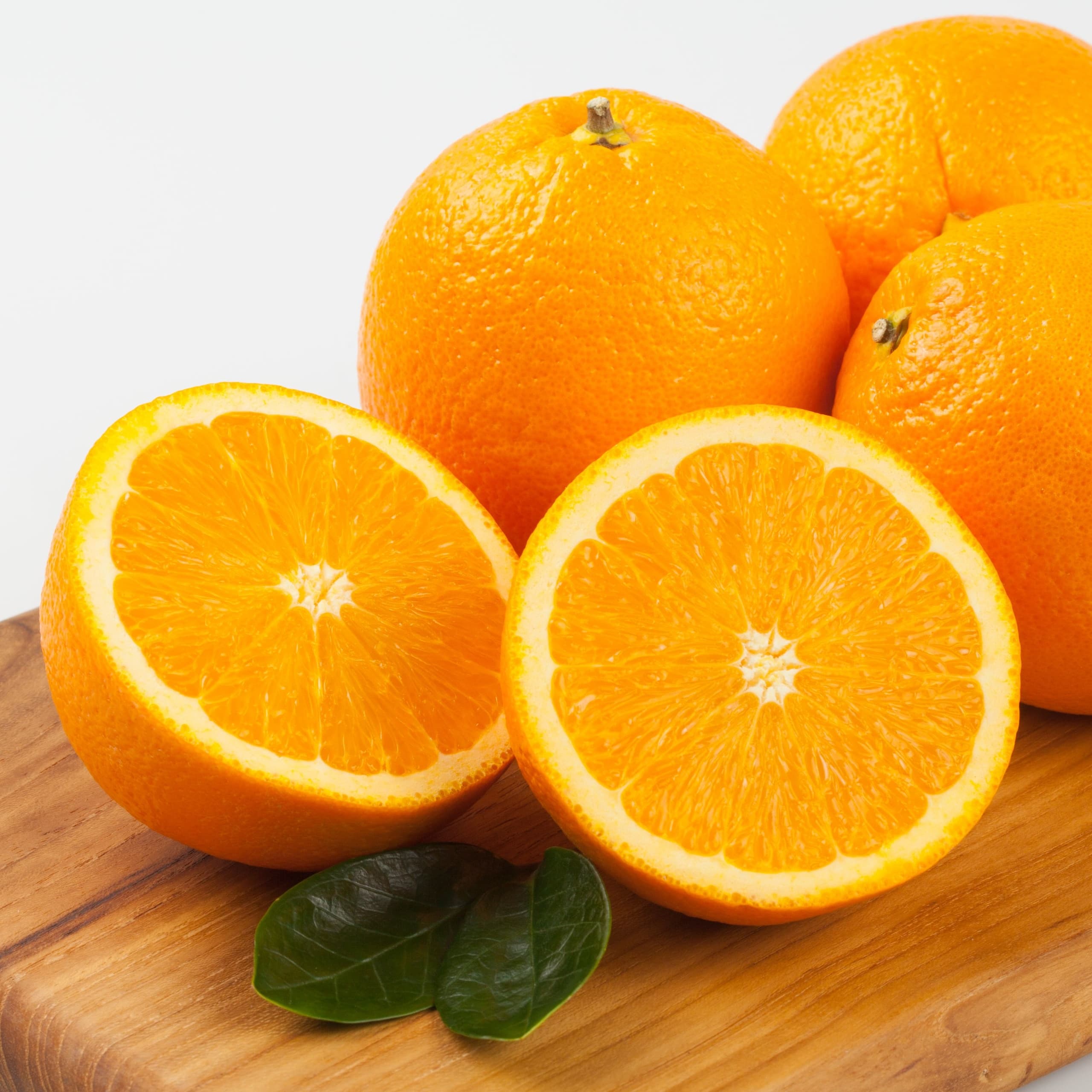 최고집 null - 최저가 12,510원