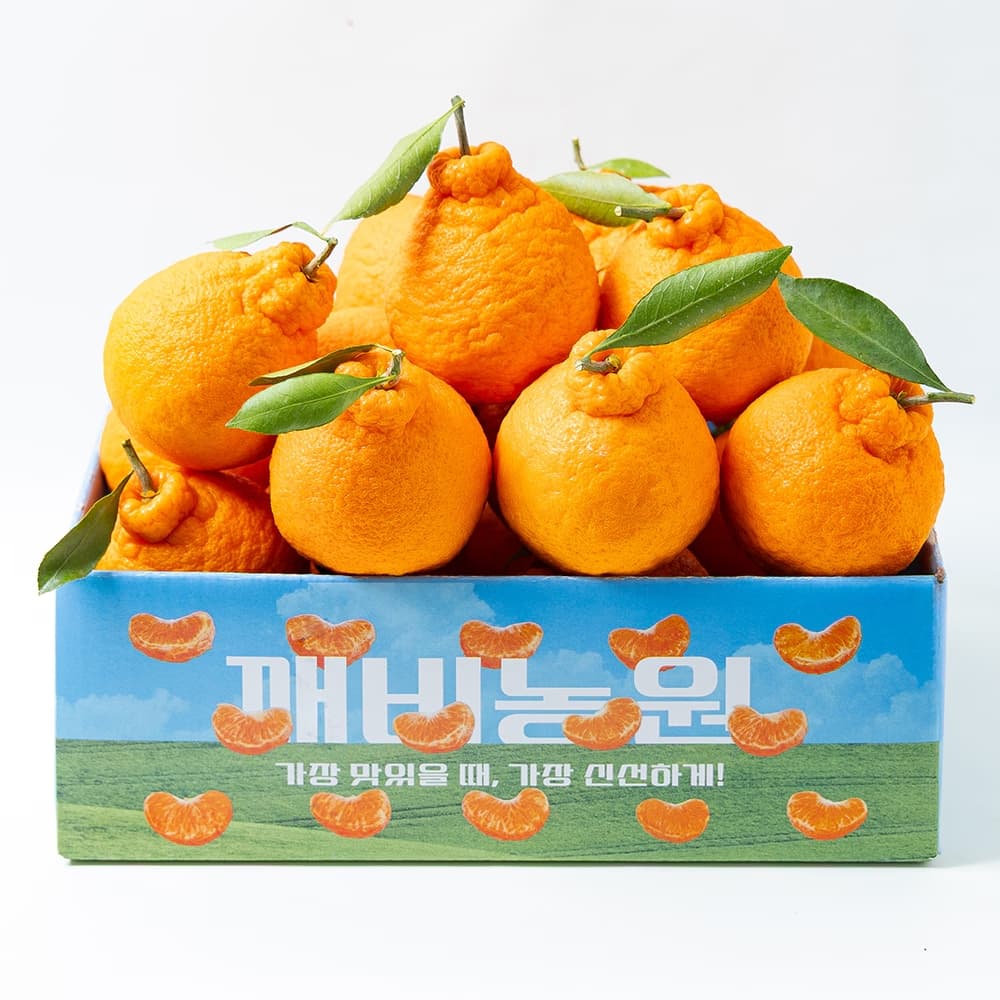 깨비농원 null - 최저가 15,960원