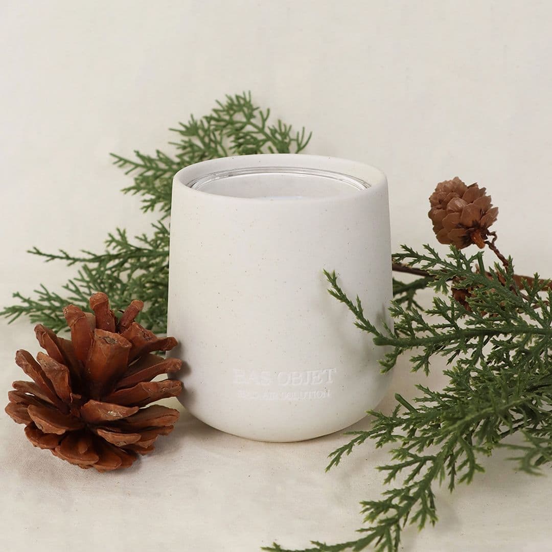 BAS 오브제 테라피움 탈취제 150g