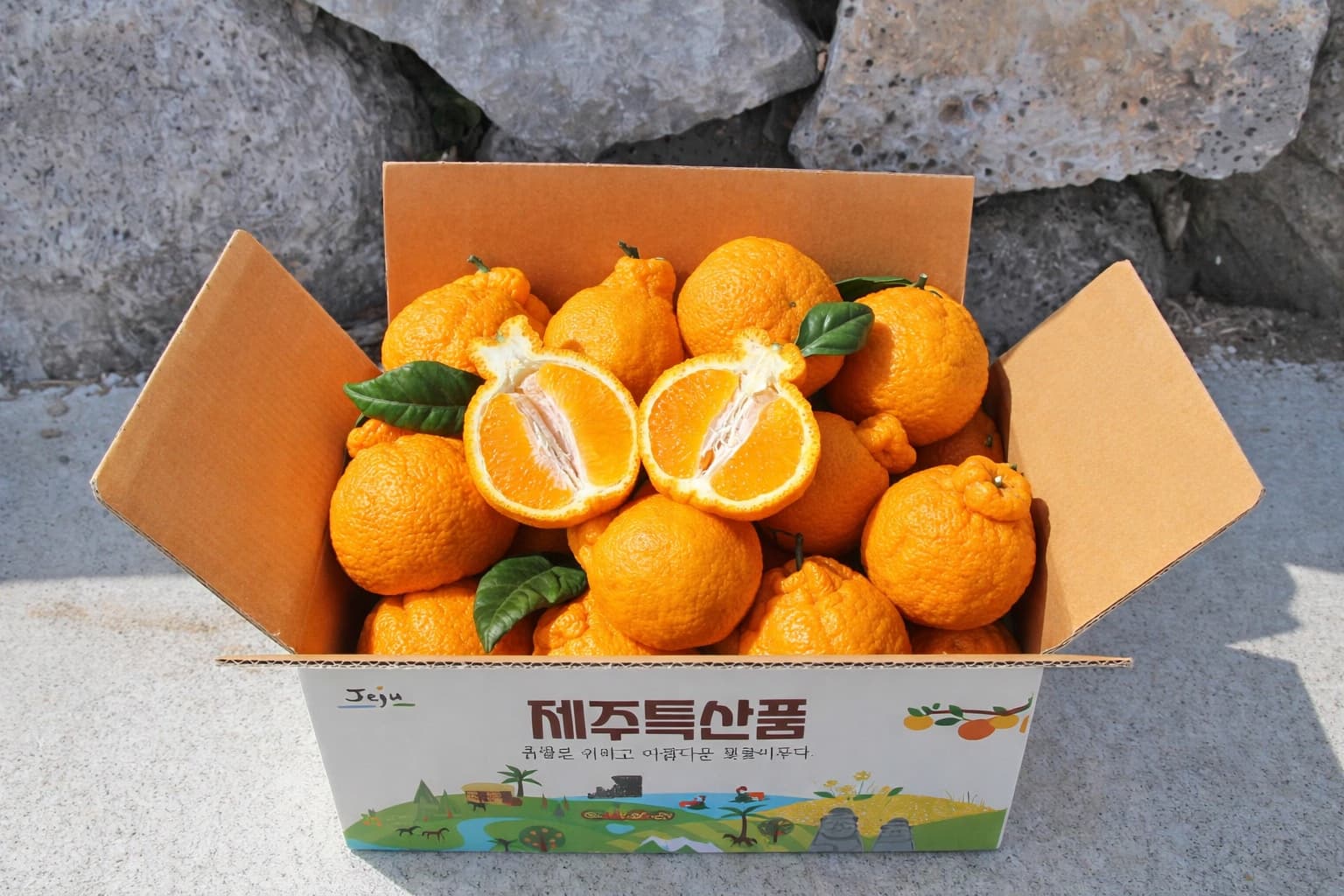 천하일품 감귤농장 null - 최저가 8,910원