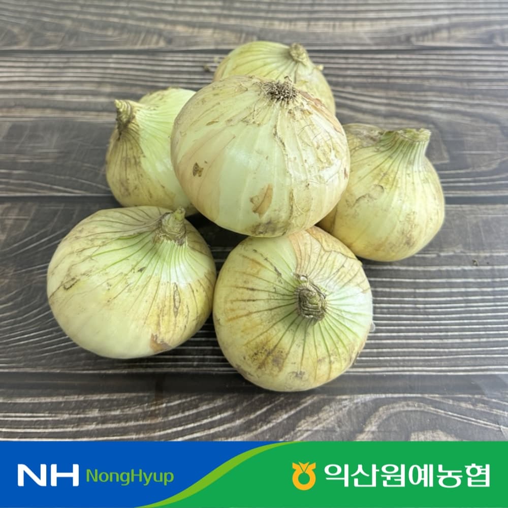 농협 산지에서 바로오는 국내산 햇 양파 3kg / 5kg - 최저가 5,670원