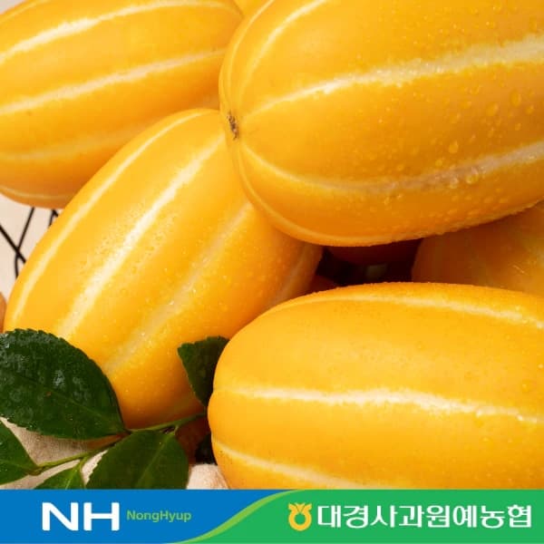 농협 null - 최저가 15,750원