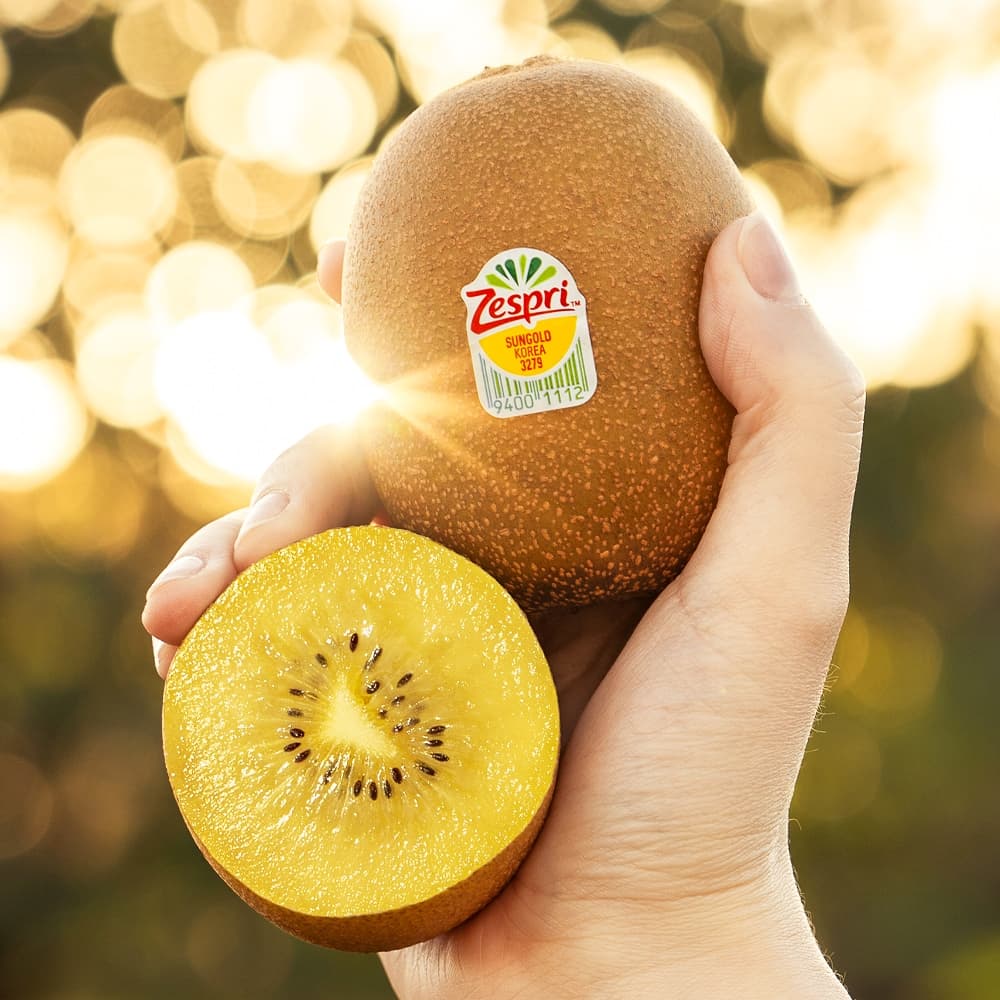 맛젤 null - 최저가 11,610원