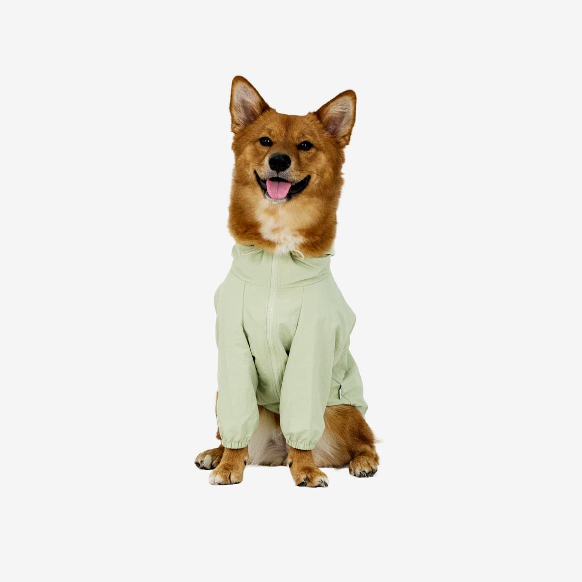 파우어 Signature Windbreaker_Green