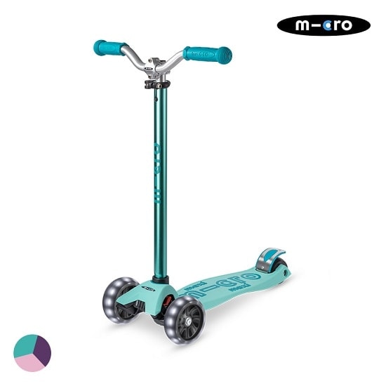 마이크로킥보드 null - 최저가 261,000원