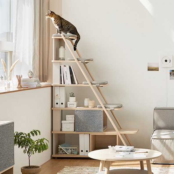 일룸 일룸 캐스터네츠 책장 캣타워(1200폭 6단)_쿠션형 - 최저가 464,070원
