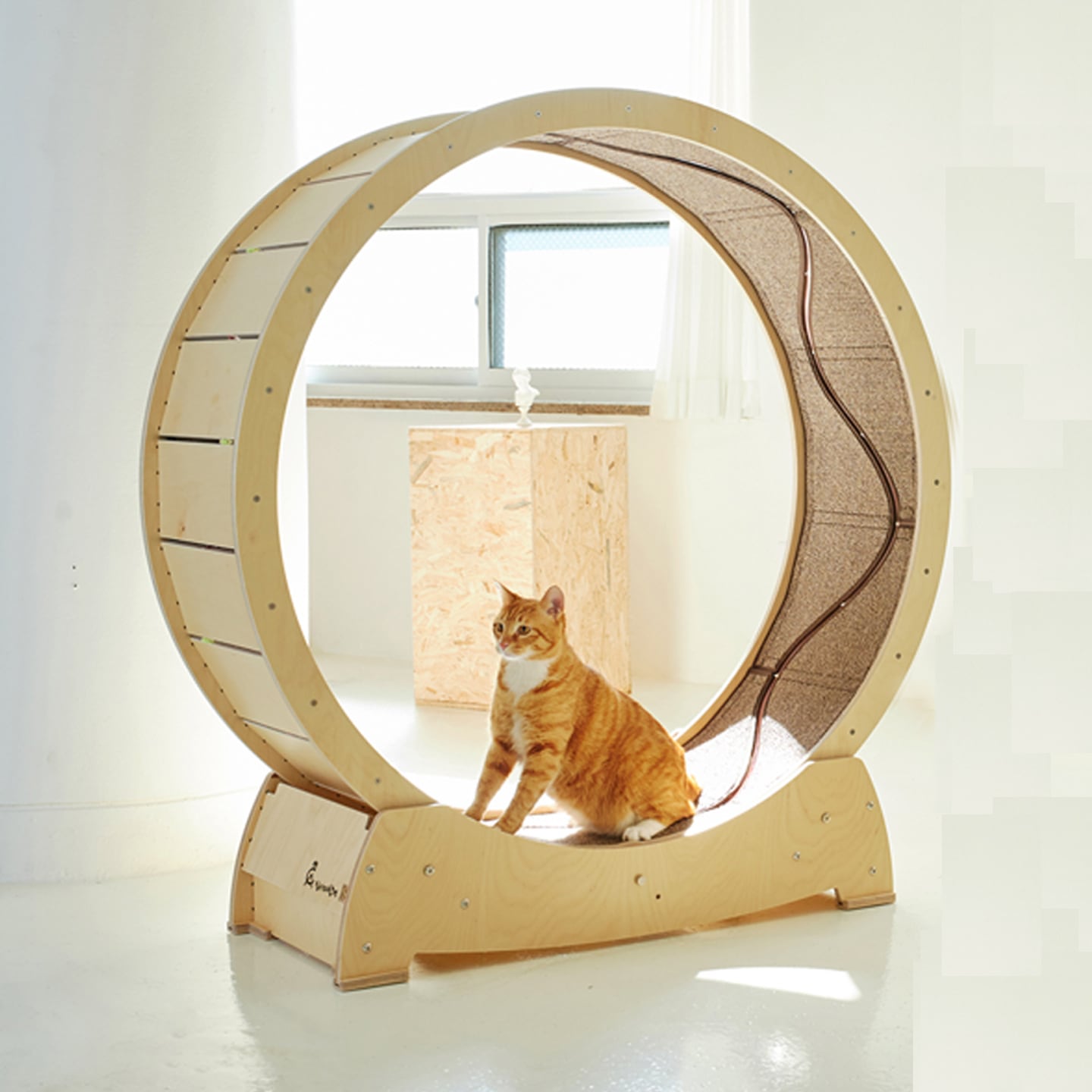 집사의반격 스타캣휠 1200 - 최저가 435,000원