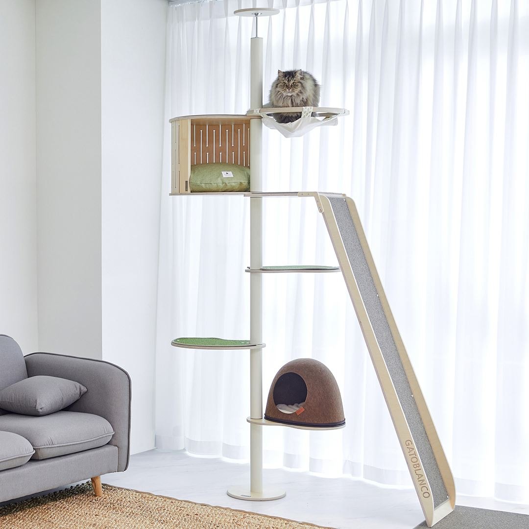 가또블랑코 null - 최저가 129,000원