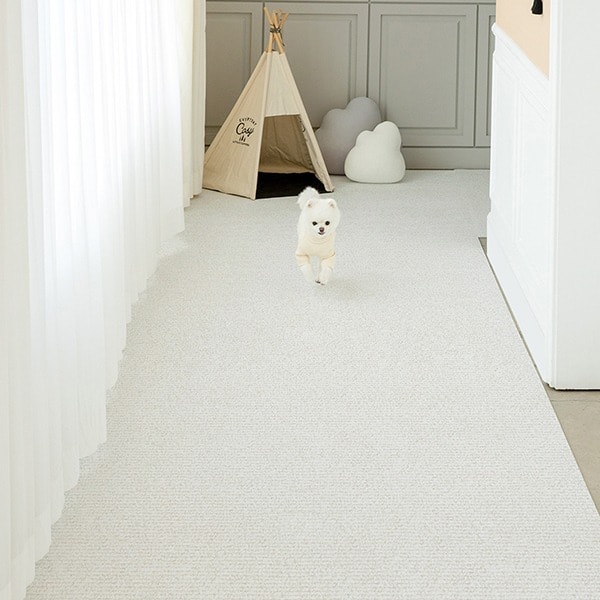 펫노리터 null - 최저가 30,900원